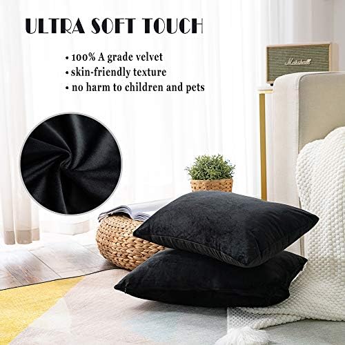 Stellhome Set of 2 Rectangle Throw Pillow Covers Super Soft Solid Velvet Pillowcase for Bed Couch Sofa Bench, 12 x 20 inch (30 x 50 cm), Black