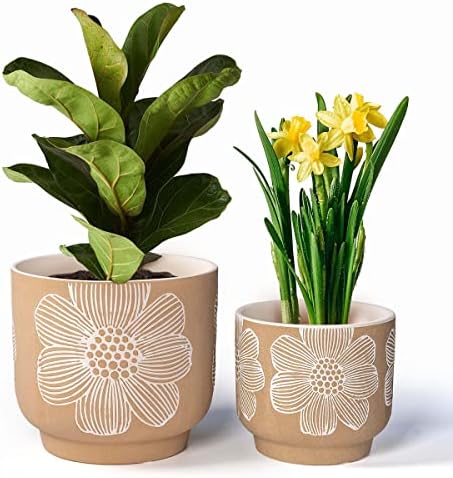 Ceramic Plant Pots, 8+6 Inch, 2 Pcs Indoor Planters with Drainage Holes