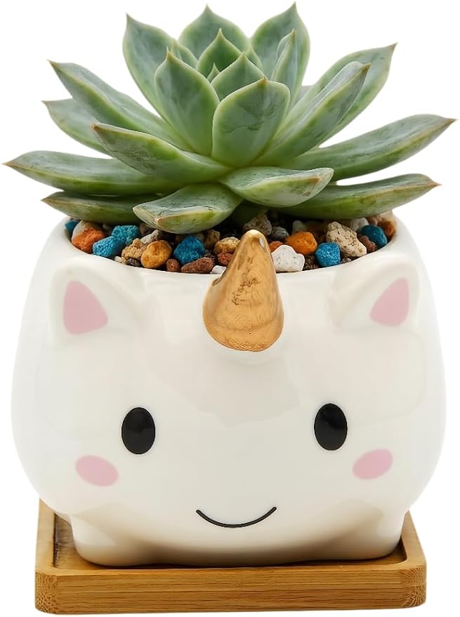 Cuteforyou Succulent Pots,Cute Animal Shaped Cartoon Ceramic Succulent Cactus Flower Planters with Bamboo Tray -Plant Not Included (Elf)