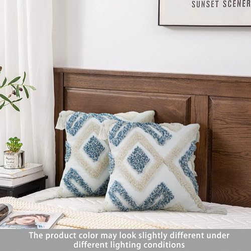 Merrycolor Boho Throw Pillow Covers 20x20 Blue and White Decorative Pillow Covers with Tassels Soft Woven Tufted Pillow Case Neutral Accent Cushion Cover for Couch Sofa Bedroom,1PC