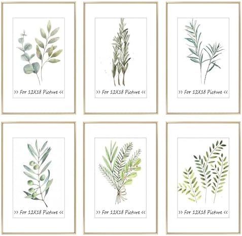 Golden State Art 16x24 Gold Aluminum Frame, Real Glass, Mat Fits 12x18