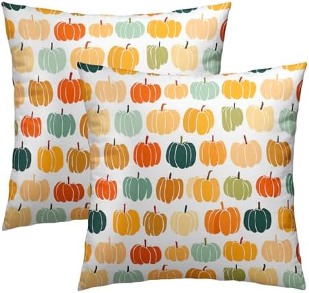 Fall Pumpkin Throw Pillow Cover 16X16 Inch Set of 2 Autumn Orange Pumpkin Outdoor Pillow Cases Colorful Autumn Thanksgiving Harvest Farmhouse Square Cushion Cover For Sofa Couch Porch Patio Home Decor