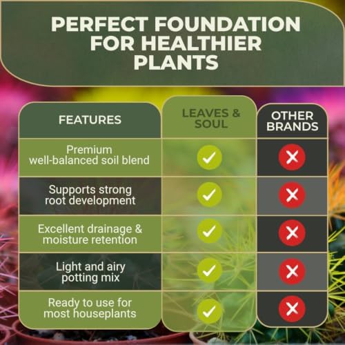 Leaves & Soul Cactus Soil Potting Mix 2.2 Qt for Cactus & Succulent Plants