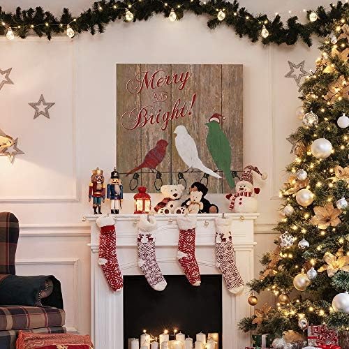 Renditions Gallery Animal Canvas Wall Art Home Paintings & Prints Merry and Bright Colorful Christmas Birds Abstract Wall Hanging Artwork for Bedroom Living Room & Kitchen Decor - 40"X40" LT05
