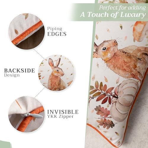 Maison d' Hermine Throw Pillow Covers 100% Cotton (12" x 20" - Pack of 1)