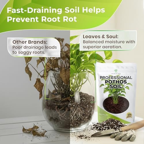 Leaves & Soul Pothos Soil Potting Mix 2.2 Qt Indoor Plant Soil for Pothos