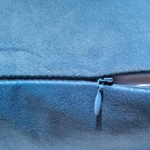 Jeneoo Set of 2 Decorative Throw Pillow Covers Soft Velvet Comfy Solid Couch Cushion Cases for Livingroom Bed Sofa Decor (Sky Blue, 18 x 18 Inches)