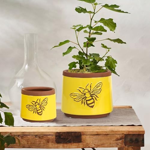YBX Terracotta Pots Inch with Drainage Holes, Bee Decor, Ceramic Pots for Indoor Plants Flower Pots Outdoor, Succulent, Herbs, Snake Plants (Yellow, 6+4 Inch)