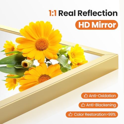 NEWBULIG 22"x30" Arched Wall Mirror, Bathroom Mirrors for Over Sink, Gold | Matte Metal Framed Vanity Mirror with Tempered Glass, Entryway, Living Room, Bedroom