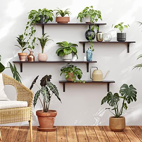 DINZI LVJ Long Wall Shelves, 23.6Inch Wooden Wall Mounted Shelves, Set of 2