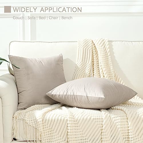 Stellhome Super Soft Velvet Square Throw Pillow Covers for Bed Couch Sofa Bench, 16 x 16 inch (40 x 40 cm), Silver Gray, Pack of 2