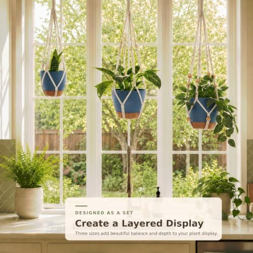 3 Set Self Watering Hanging Planter for Indoor Plants Macrame Plant Hangers