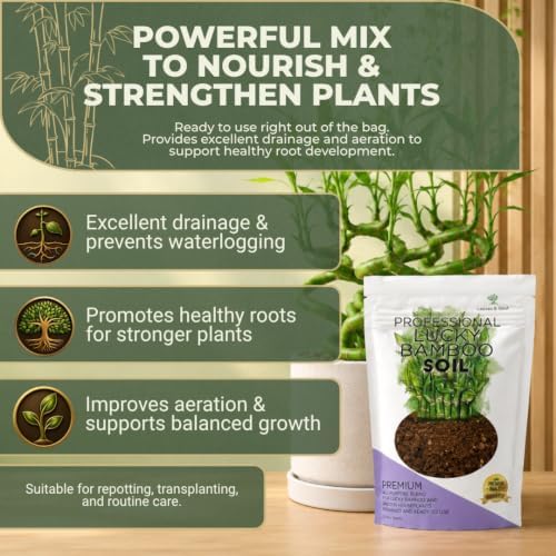 Leaves & Soul Lucky Bamboo Potting Soil 2.2 Qt for Lucky Bamboo Plant