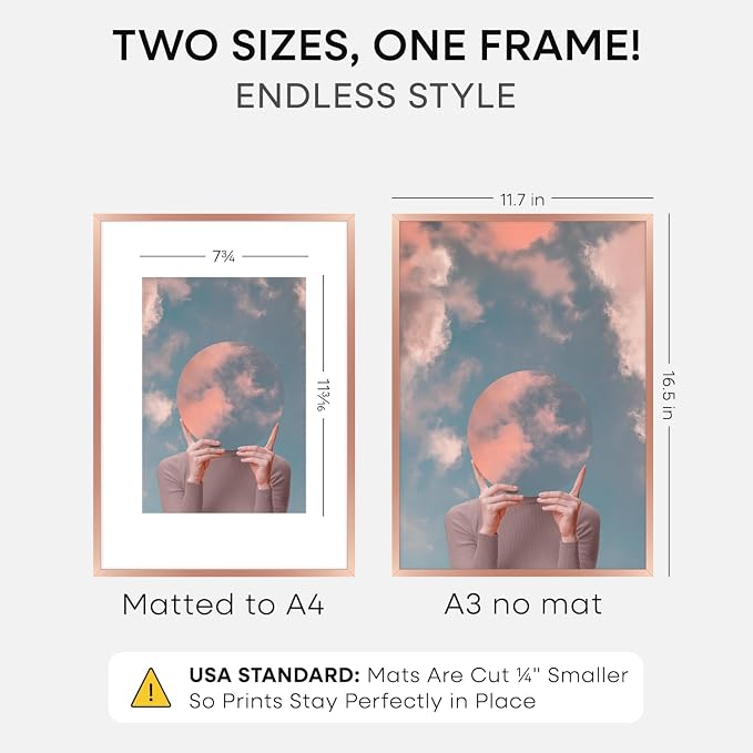 Homeforia A3 Rose Picture Frame, High-End Metal, A4 Mat, Glass