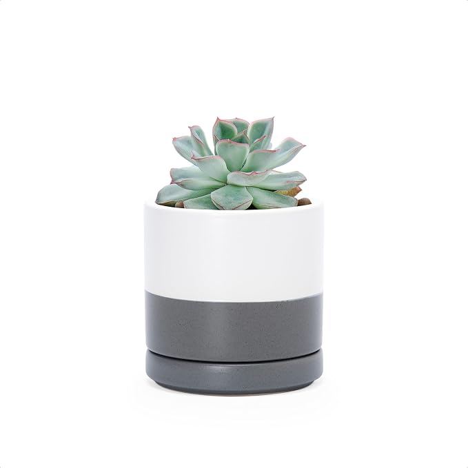 D'vine Dev 3.5 Inch Ceramic Planter Pot, White/Grey, 94-O-A-6 | Modern Cylinder Design, Drainage Hole & Saucer Included, Stable Structure, Elegant Home Accent