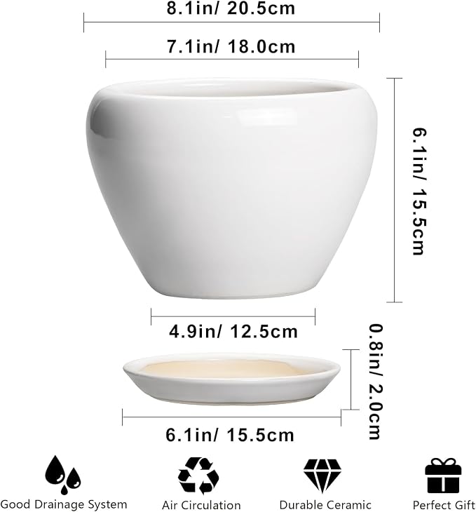 Ceramicfor Ceramic Pot for Plants, 8 Inch Planter, Glossy White | Plant Pot with Drainage Hole and Saucer, Round Planter for Indoor Plants, Modern, Plant Lover Gifts, Home Office Garden Decor