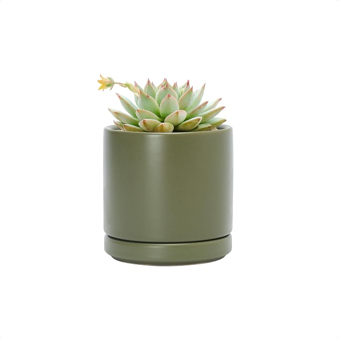 D'vine Dev 3.5 Inch Ceramic Planter Pot, Olive, 94-O-A-J | Modern Cylinder Design, Drainage Hole & Saucer Included, Stable Structure, Elegant Home Accent