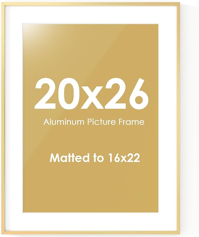 Fun Memories 20x26 Picture Frame, Metal Picture Frame Wall Mounting Horizontally or Vertically - Poster Frame Simple and Elegant Decor for Wall - 1 Pack - Gold