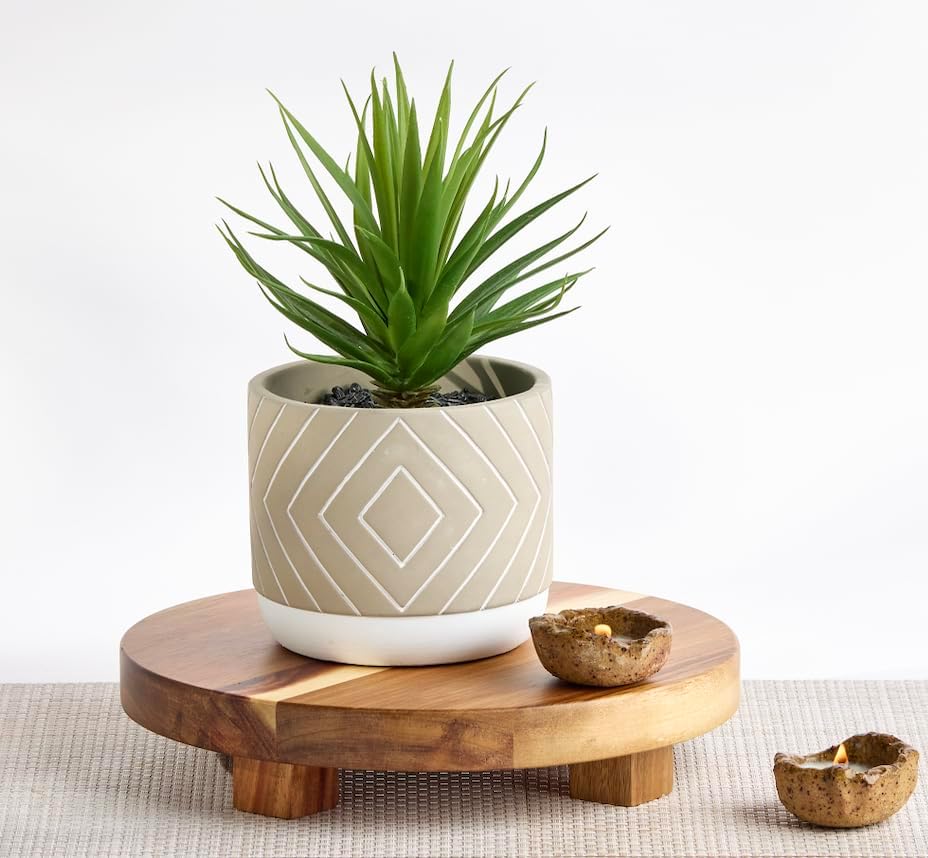 Kurrajong Farmhouse 8" high Artificial Plant in Pot - Small Faux Plant for Desk, Bathroom, Shelf & Coffee Table - Realistic Fake Plant for Home Decor