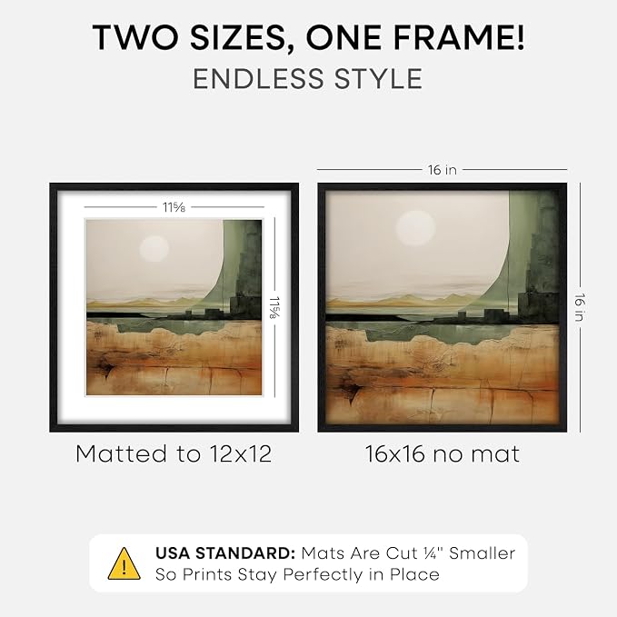 Homeforia 16x16 Black Oak Picture Frame, High-End Wood, 12x12 Mat, Glass