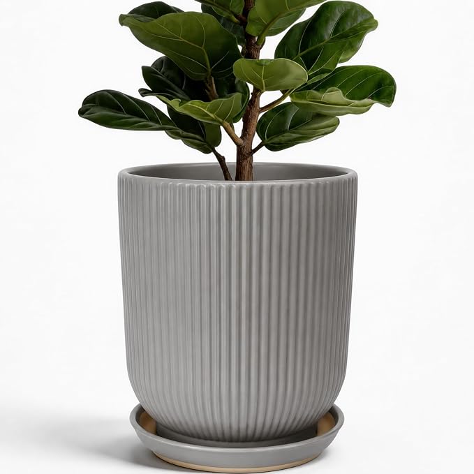 Deep Dream 10 Inch Ceramic Pots for Plants, Heavy Plant Pot for Indoor Outdoor Plants, Large Plant Pot with Drainage Hole and Saucer, Modern Tall Flower Pot, Gifts for Plant Lovers, Grey