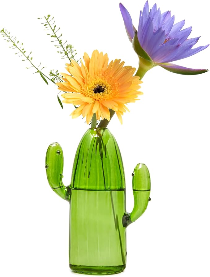 XXXFLOWER Cactus Plant Propagation Station 1 Cactus Vase Terrarium Jars | Desk Plant Cuttings Plant Holders Unique Glass Flower Vase for Hydroponics Plants for Plant Lovers Home Garden Decor