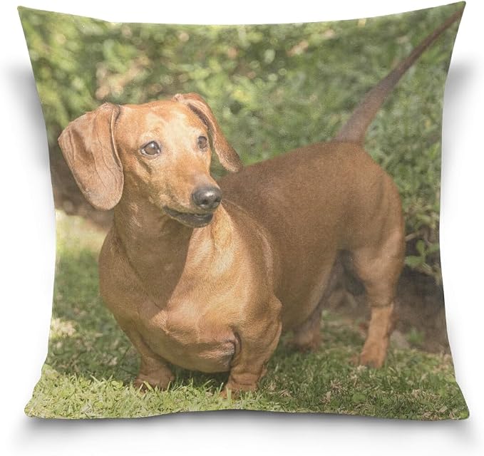 Hokkien Dachshund Dog Decorative Square Throw Pillow Case Cushion Cover for Sofa Bedroom Car Double-Sided Design 18 x 18 inch
