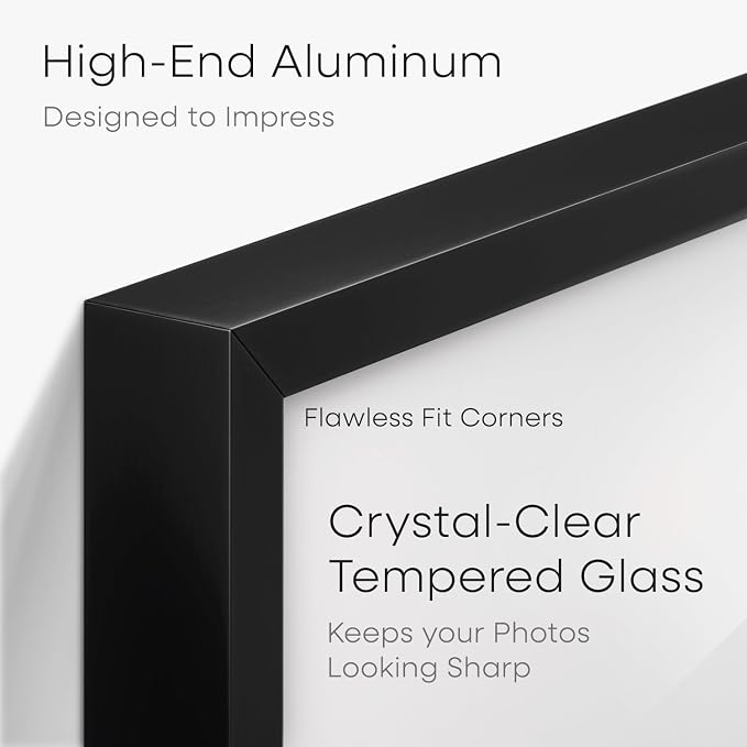 Homeforia 5x10 Black License Frame, High-End Metal, 3.5x8 Mat, Glass