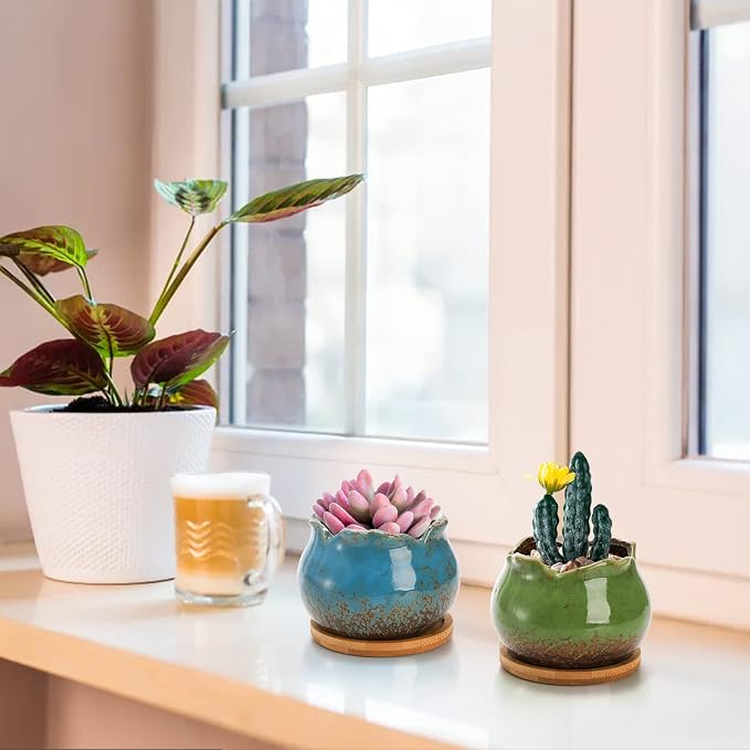 TOPZEA Set of 6 Succulent Plant Pots, 4 Inch Glazed Ceramic Pots with Drainage and Saucer, Mini Bonsai Planter Small Flower Pots for Indoor Outdoor Use (Pack of 4)