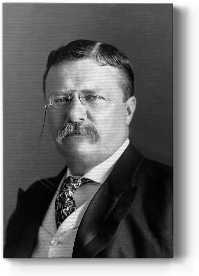 Renditions Gallery Theodore Roosevelt Presidental Portrait Wall Art, Premium Gallery Wrapped Canvas Decor, Ready to Hang, 12 in H x 8 in W, Made in America Print