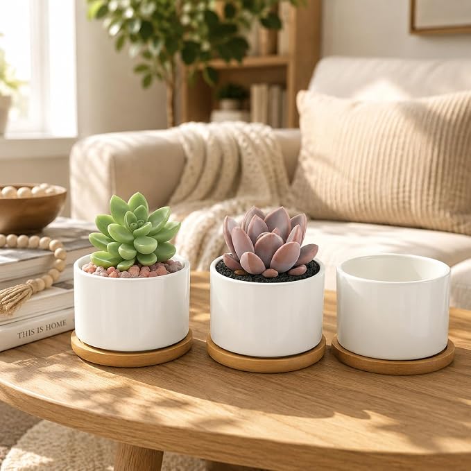 ZOUTOG 6 Pack 3.6" Ceramic Succulent Pots,White Planter with Drainage Tray