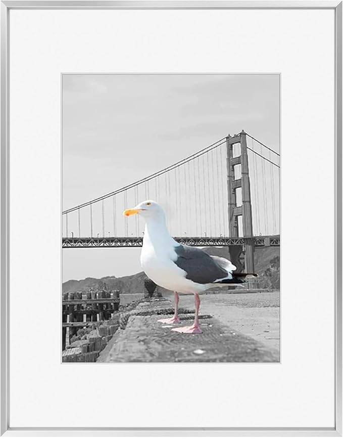 Frametory 16x20 Silver Aluminum Metal Picture Frame Mat for 11x14 Glass