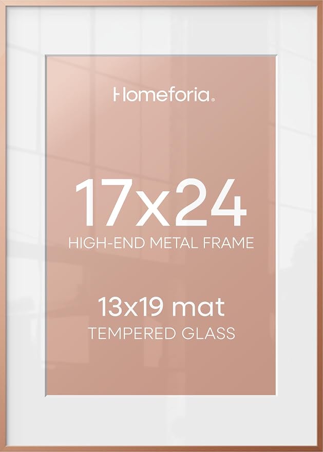 Homeforia 17x24 Rose Picture Frame, High-End Metal, 13x19 Mat, Glass
