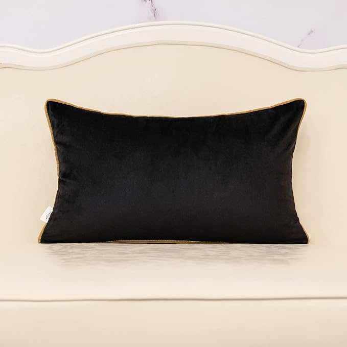 Alerfa Geometric Gold Leather Striped Throw Pillow Cover 12x20 Inch, Luxury Velvet Embroidered Decorative Lumbar Pillow Cover for Couch Living Room Bedroom, Black