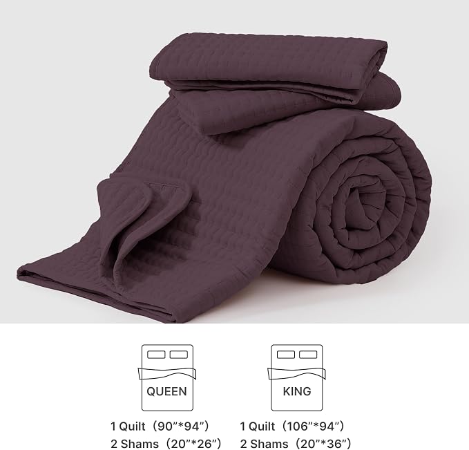 Queen Quilt-Lightweight Bedspreads Plum Queen Size Quilt Bedding Set | Soft Coverlet with 2 Pillow Shams for All Seasons, Suitable for Bed, Couch, 3 Pieces, 90"x94"