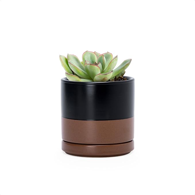D'vine Dev 3.5 Inch Ceramic Planter Pot, Black/Tan, 94-O-A-7 | Modern Cylinder Design, Drainage Hole & Saucer Included, Stable Structure, Elegant Home Accent