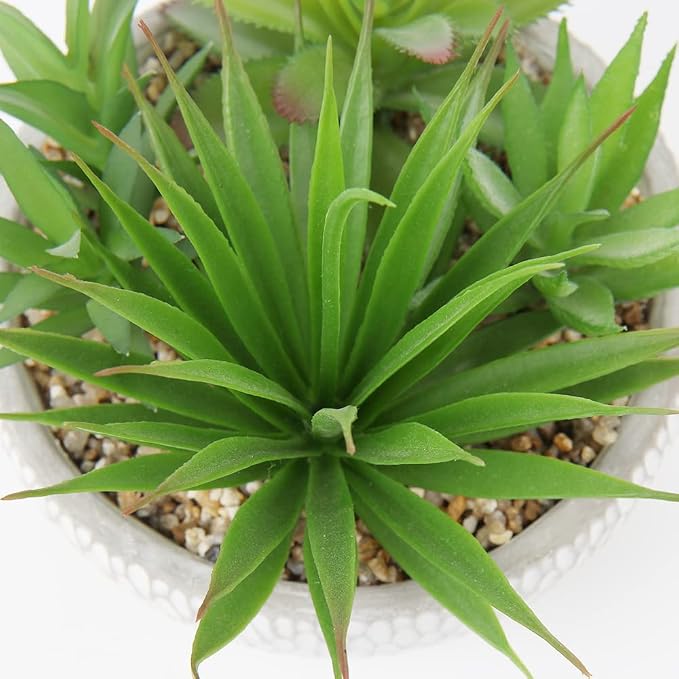 Briful Small Fake Plants Assorted Faux Succulents in Pots Realistic Succulents Plants Artificial with Cement Pots for Home Table Office Desk Bathroom Shelf Living Room Decor