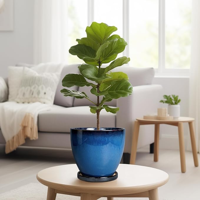8 Inch Planter - Ceramic Plant Pot with Drainage Hole and Tray Round Planter Modern Flower Pot for Room Home Office Patio Porch Garden Decor Blue