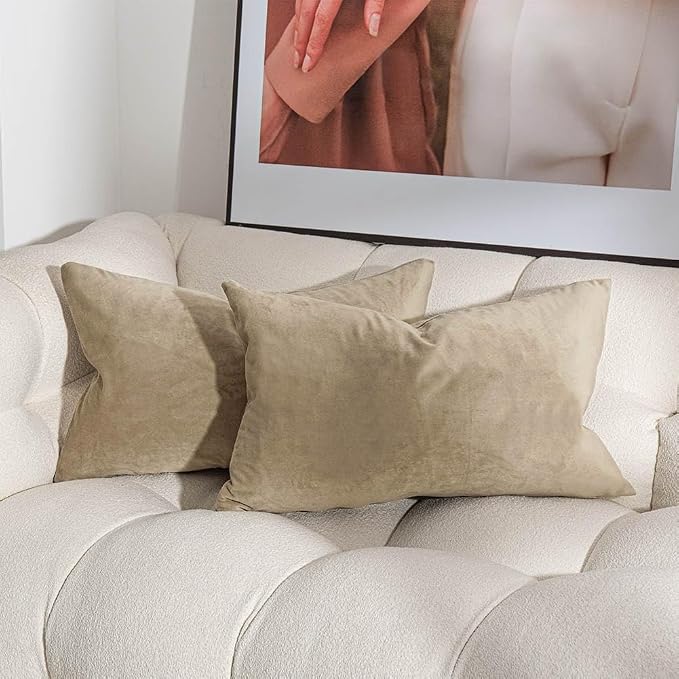 JUSPURBET Decorative Velvet Throw Pillow Covers 20x20 Set of 2,Stone