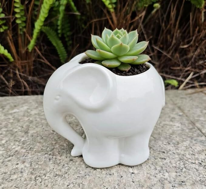 Cute Animal Elephant Shaped Ceramic Succulent Cactus Air Plant Flower Pots Planters-Plant Not Include (4" White)