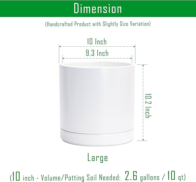 D'vine Dev 10 Inch Ceramic Planter Pot, White, 94-O-E-1 | Modern Cylinder Design, Drainage Hole & Saucer Included, Stable Structure, Elegant Home Accent