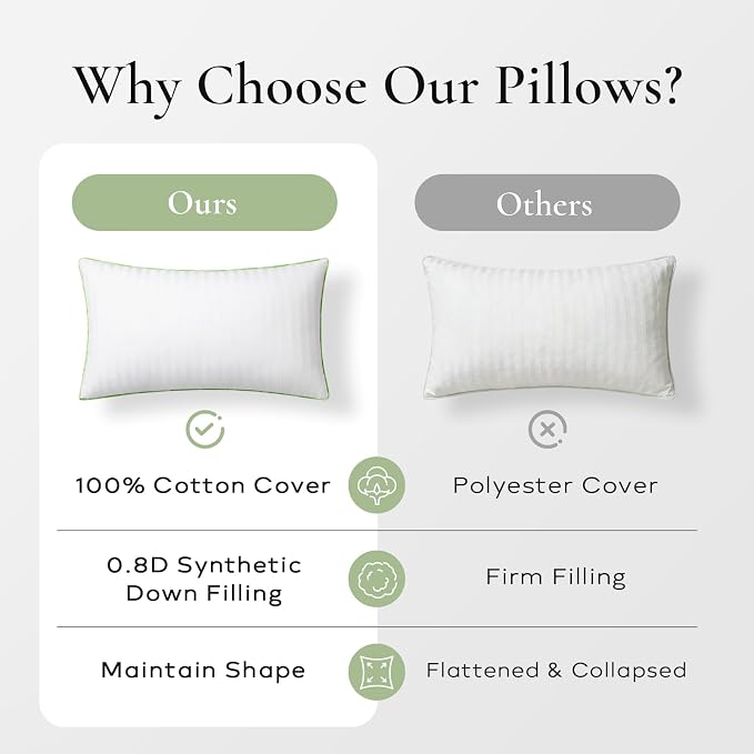 Ashler Synthetic Down Pillow Inserts, 20x20, Set of 2 | Down Alternative, 100% Cotton Cover, Decorative Pillow for Couch, Fluffy Cushion Sham Stuffer, Hypoallergenic
