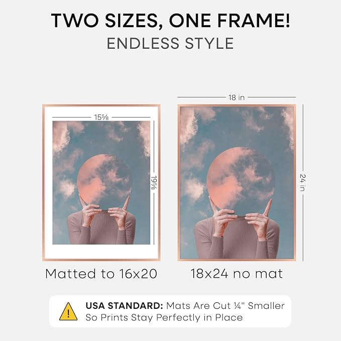 Homeforia 18x24 Rose Poster Frame, High-End Metal, 16x20 Mat, Glass