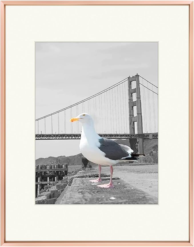Frametory 16x20 Rose Gold Aluminum Metal Picture Frame Mat for 11x14 Glass