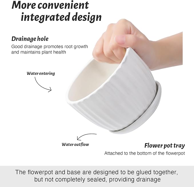 Ceramic Plant Pots with Saucers, Round White Flower Pots for Indoor Plant | Small Flower Planters with Drainage Holes, Diameter 3.3/4.3/5.5 Inches, Set of 3