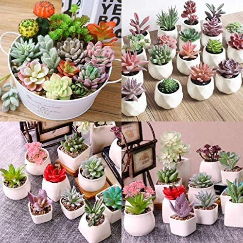 Augshy Artificial Succulents, 16 Pack Fake Succulents Plants Artificial Small Fake Plants Faux Succulents Unpotted for Lotus Landscape Decorative Garden Arrangement Decor