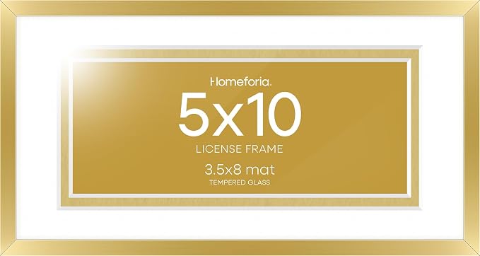 Homeforia 5x10 Gold License Frame, High-End Metal, 3.5x8 Mat, Glass