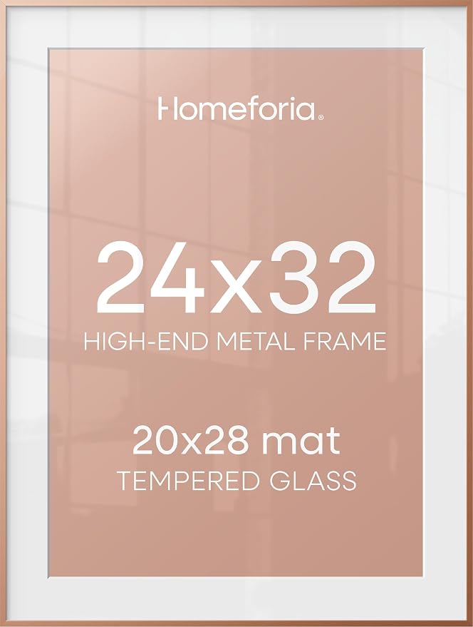Homeforia 24x32 Rose Poster Frame, High-End Metal, 20x28 Mat, Glass