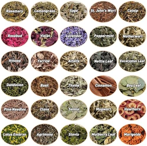 Witchcraft Supplies Herbs, Dried Flowers Bottles Kit for Beginner, 30 Pack