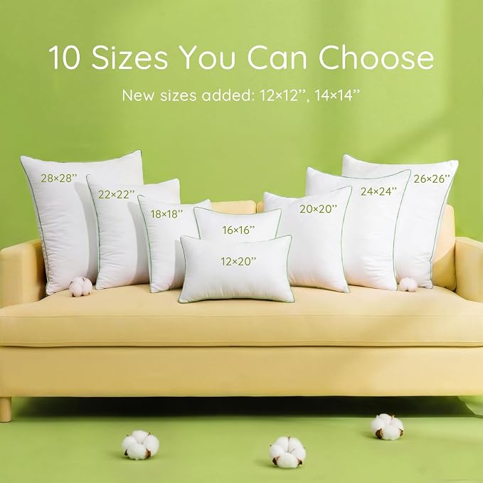 Ashler 20 x 20 Pillow Inserts Set of 2, Hypoallergenic Pillow | 100% Cotton Cover, Square Interior Sofa Stuffer, Decorative Pilloes for Sofa Couch, Fluffy & Supportive